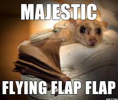 Alternate Animal Names Majestic Flying Flap Flap 14 27 Funny Animal Names Alternate Animal Names Animals