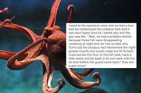 Octopuses Are Terrifyingly Smart And Will Definitely Overthrow The Human Race Taking Over The World Octopus Fun Facts