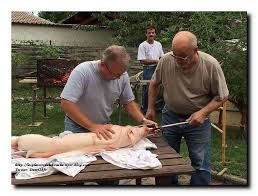 Faites cuire au barbecue ou sur un grill. Cochon De Lait A La Broche Les Plaisirs De La Bouche