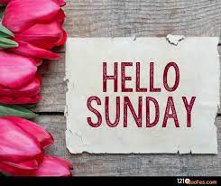 We did not find results for: 180 Beautiful Good Morning Sunday Images Latest Updates
