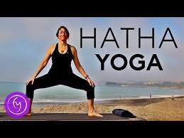 1 Hour Hatha Yoga Full Class Fightmaster Yoga Videos Youtube Hatha Yoga Yoga Videos Beginning Yoga