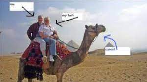 Camels have long been domesticated and, as livestock, they provide food (milk and meat) and textiles (fiber and felt from hair). The Taliban Son Country Music Project