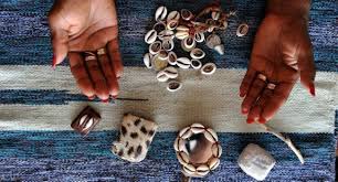 Résultat de recherche d'images pour "les cauris"