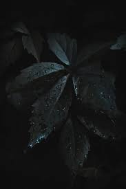 We have 78+ background pictures for you! 60 Aesthetic Dark Wallpapers For Iphone That Set The Mood