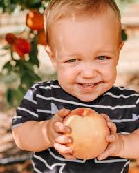 Cute small horse with long mane and tail