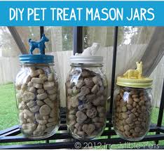 We did not find results for: 13 Creative Ways To Store Your Pup S Food And Treats Barkpost