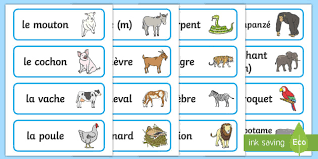 We have undertaken the difficult task and created the following list of over 5 animals that end with letter m. French Animal Vocabulary Animal Names In French Word Cards