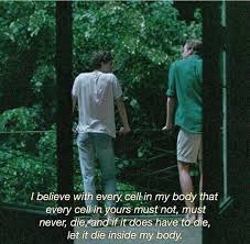 Call me by your name free. Call Me By Your Name Book Cmbyn And Call Me By Your Name Image 6209057 On Favim Com