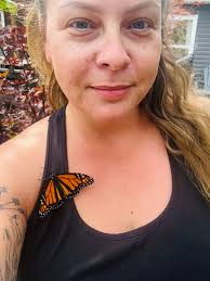 Lovely evening visitor