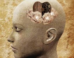 「EQ Is Way More Important Than IQ」的圖片搜尋結果