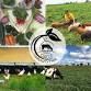 *FREE* Full Circle Community Farm Tour with Emphasis on Pollinator Garden