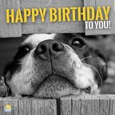 We did not find results for: Happy Birthday 150 Messages And Quotes For Friends And Loved Ones Happy Birthday Dog Happy Birthday Dog Meme Birthday Meme Dog