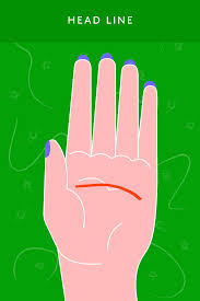 How To Read Palms Lines Beginner Palmistry Guide