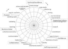 Self And Peer Assessments Agile Skills Project Wiki