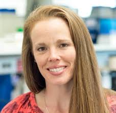 BUSINESS MEETING BOOK ASVCP 2021