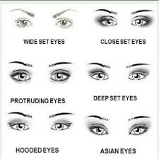 Protruding eyes are more bulged out. General Types Of Eye Shapes Wide Set Eyes Close Set Eyes Prominent Download Scientific Diagram