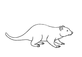 Select from premium devil of the highest quality. How To Draw A Tasmanian Devil Step By Step Easy Animals 2 Draw