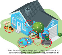 Nyamuk aedes dapat dikenali dengan belang hitam putih di badan dan kaki. Kenali Jenis Nyamuk Di Malaysia Positive Parenting