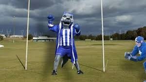 We're extra proud to be part of the pride with moments like these. Afl Season 2016 We Rate The Club Mascots By Toughness This Is Very Important Journalism Huffpost Australia News