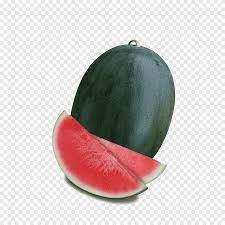 .hr manufacturing sdn bhd, its educational supplies sdn bhd, luulla technology sdn bhd, cib net station sdn bhd, usahawancom sdn bhd, osim m sdn bhd, gemencheh granite sdn bhd, eong huat corporation sdn bhd, rufaqa corporation sdn bhd. Watermelon Seedless Fruit F1 Hybrid Watermelon Food Grey Png Pngegg