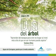 En este momento estamos desplegando todos los recursos y. Aguas De Cartagena Conmemora El Dia Del Arbol Visor Caribe