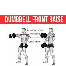 The front raise strengthens primarily the shoulder (deltoids) but also works the upper chest muscles. Dumbbell Front Raise Vorlage Postermywall