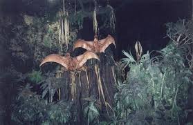 They appear in nearly every level except level 9. Cearadactylus Disney Wiki Fandom