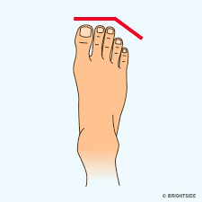 What Your Foot Shape Tells About Your Personality Pure Fuss foot shape tells about your personality