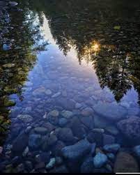 Just An Inverted Reflection In Water Water Reflections Water Photography Reflection Pictures