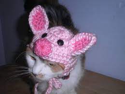 Pig Hat For Cat Or Dog Crocheted Piglet Cap For Halloween Etsy Crochet Dog Dog Sweaters Crochet Animal Hats