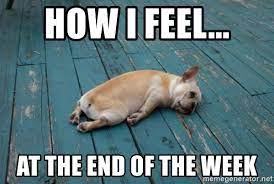 How I Feel At The End Of The Week Doggo Meme Meme Generator