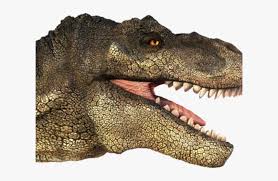 Check spelling or type a new query. Tyrannosaurus Rex Clipart Transparent T Rex Head Png Png Download Transparent Png Image Pngitem
