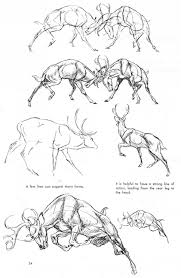 Pin By Kazuko On Art Animal Drawings Deer Drawing Deer Sketch