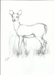 You can draw a simple kitten with a pencil by using basic drawing skills. Pencil Drawing Images Animals Bestpencildrawing