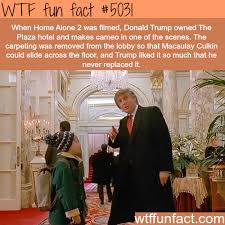 We Re Sorry Memes Fun Facts Movie Facts