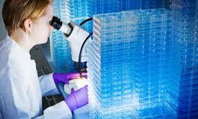 Un centre de cancérologie est un établissement prévu pour accueillir les patients atteints d'un bénéficier d'une bonne prise en charge est une moindre exigence lorsqu'on est atteint d'un cancer. La Recherche Sur Le Cancer En Allemagne Trois Therapies Innovantes