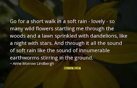 There is something so special about flowers. Dandelions Quotes Top 100 Famous Sayings About Dandelions
