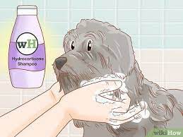Remove odor / smell from puppy and. How To Grow Dog Hair Back 10 Steps With Pictures Wikihow Pet