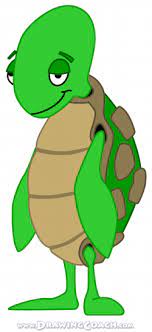 How To Draw A Cartoon Turtle