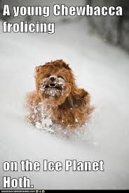 Chewbacca As A Child Star Wars Humor Funny Star Wars Pictures Star Wars Memes