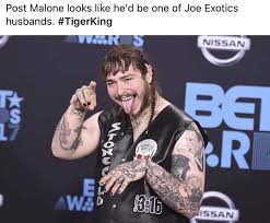 Pin On Tigerking Meme