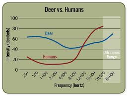 Understanding Deer Sight And Hearing Grand View Outdoors