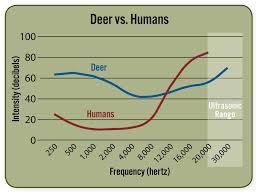 understanding deer sight and hearing grand view outdoors