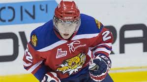 Prior to turning professional, garland played for the moncton wildcats in the quebec major junior hockey league (qmjhl) where he was awarded the michel brière memorial trophy as the qmjhl most valuable player and twice selected for. Qmjhl Garland Barbashev Lead Wildcats Past Drakkar Tsn Ca