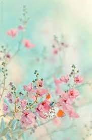 Flowers Beautiful Pink Colour 65 Ideas Flower Wallpaper Flowers Photography Beautiful Flowers