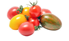 Image result for tomato Datterino