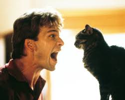 Ghost, patrick swayze, demi moore, cute, love, i love you, ditto, dito. Patrick Swayze Ghost Posters And Photos 203152 Movie Store