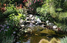 Natural Look Of The Koi Pond Adds To The Beauty Of The Landscape Decoist Garden Pond Design Pond Landscaping Garden Pond Ideas