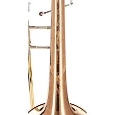 Image result for Viscum shirense