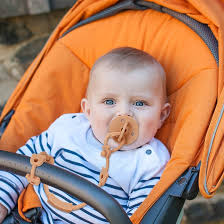 Amazon.com : Eoopoon 4 Pack Toy Safety Straps, Stretchable Silicone  Pacifier Chains, Adjustable Baby Bottle Toy Teethers Harness Strollers  Straps for ...